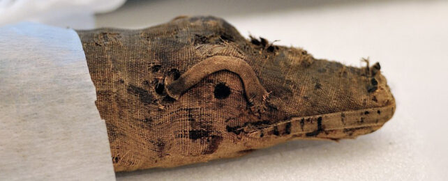 example of a wrapped up crocodile mummy