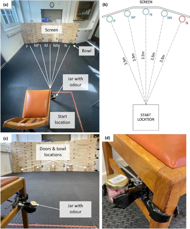 A graphic depicting the experimental setup.