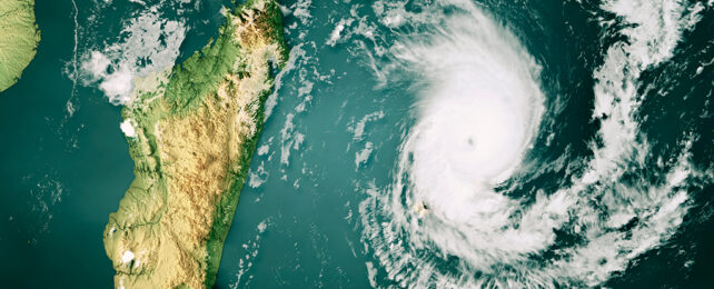 cyclone freddy cloud map