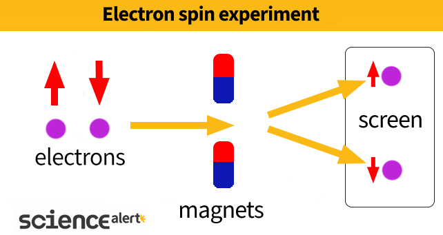 diagram of electron spin experiment