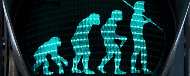 A evolution sequence pictured on a traffic light