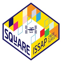 A space mission patch. It is a diamond shape showing a shallow archaeological trench with yellow boundaries. There are many colored squares - some solid, some empty. In the centre is a drawing of the International Space Station.