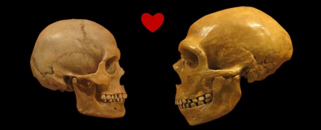 Two skulls with a heart in between them