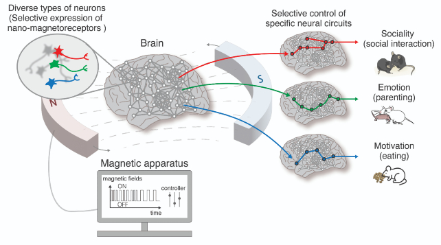 mouse mind control experiment