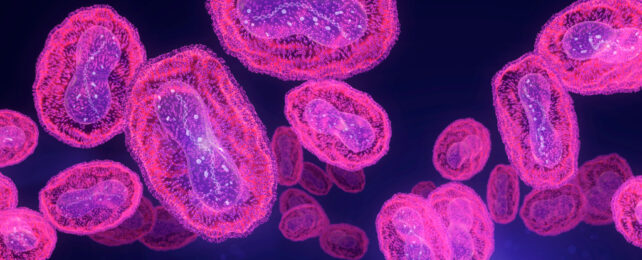 mpox virus particles