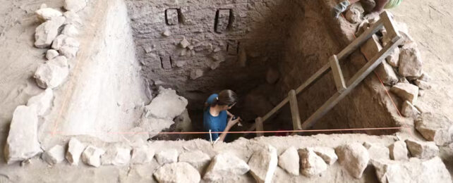 Trench carved in ground with ladder and human at the bottom