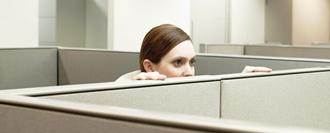 woman peeking over cubicle wall in an office