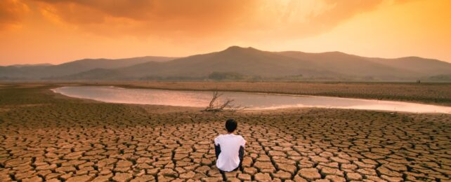 A person sitting on dry ground facing away