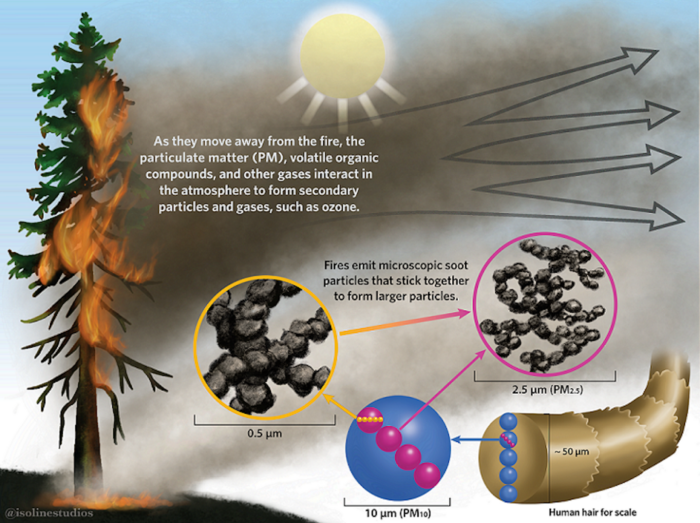 Diagram showing properties of smoke particles.